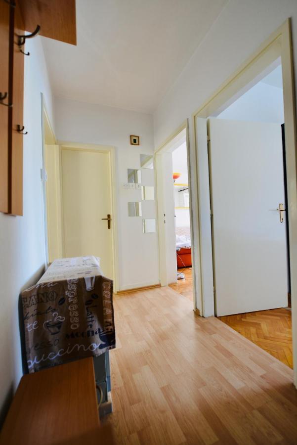 Apartment Niksa Novigrad (Dalmatia) Exterior foto