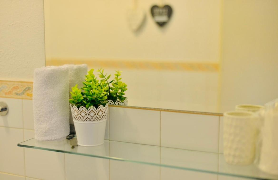 Apartment Niksa Novigrad (Dalmatia) Exterior foto